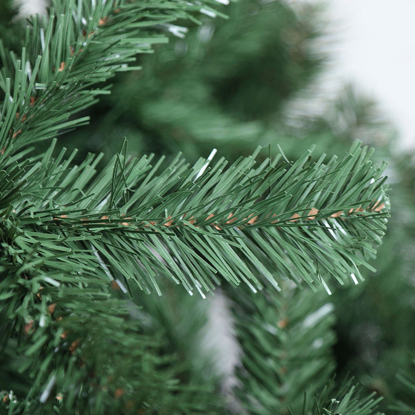 Close-up of green Christmas tree branch tips with needle-like bristles