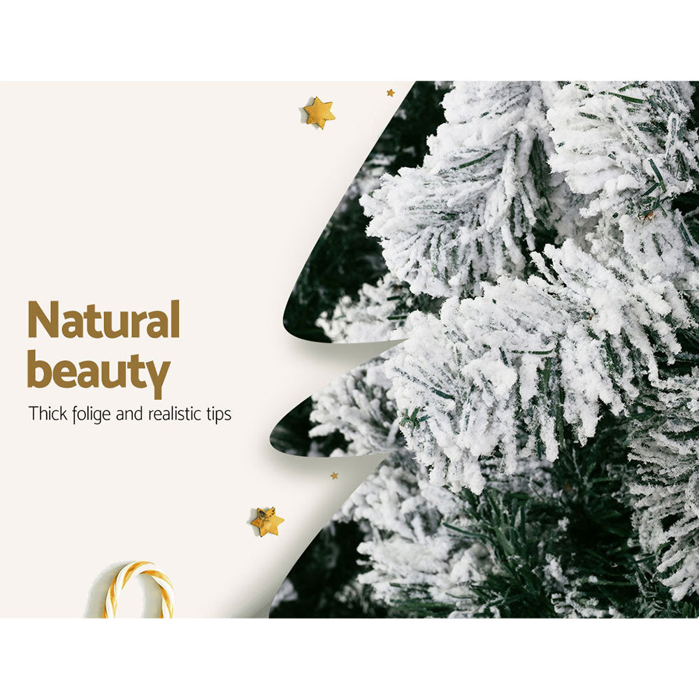 Snow flocked Christmas tree branches with white frosted texture