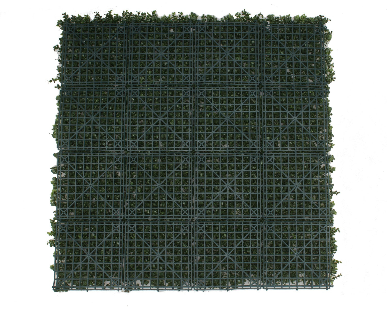 Premium Natural Buxus Hedge Panels UV Resistant 1m