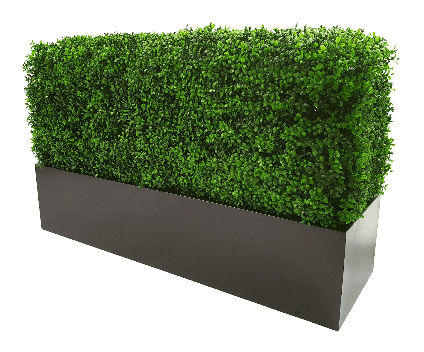 Deluxe Portable Buxus (Bright) UV Resistant 100cm Long