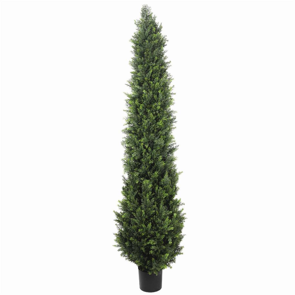 UV Resistant Cypress Pine Tree 2