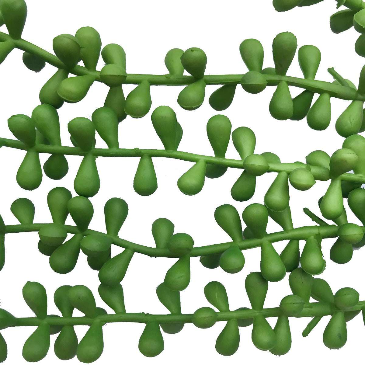 Hanging Succulent String