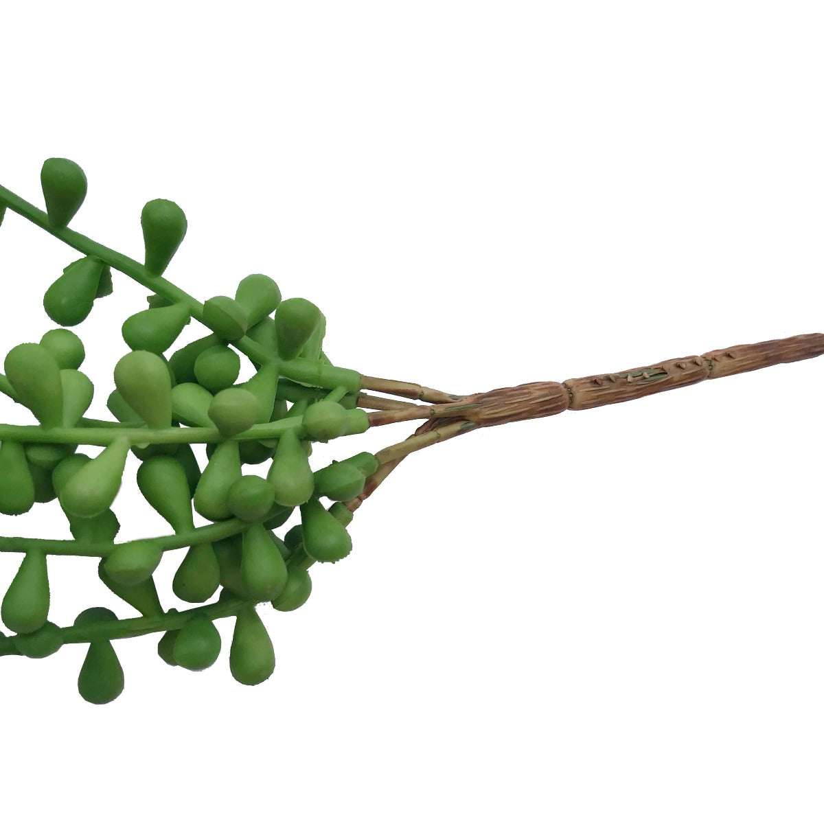 Hanging Succulent String
