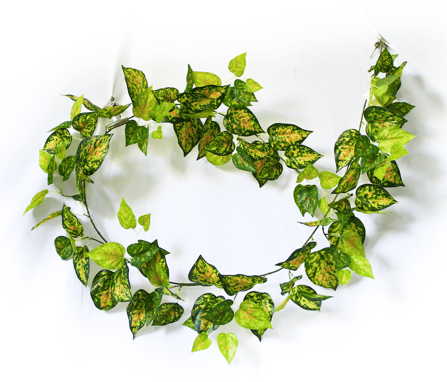 Red Pothos Garland 190cm
