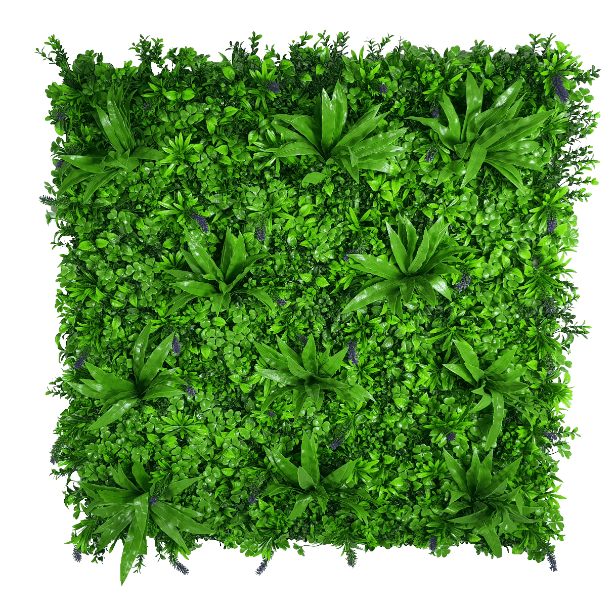 Lavandula Vertical Garden UV Stabilised