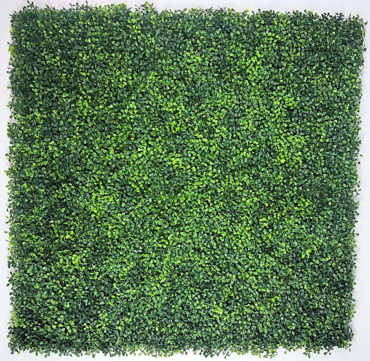 Mixed Boxwood Hedge Panels / Screens UV Resistant 1m