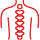 Back & Spine Relief